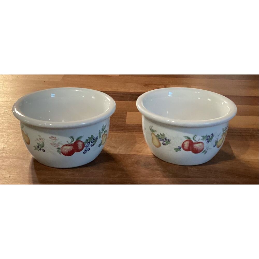 Set Of 2 Corelle Coordinates CHUTNEY FRUIT Stoneware Ramekins 7 ounce Bowls